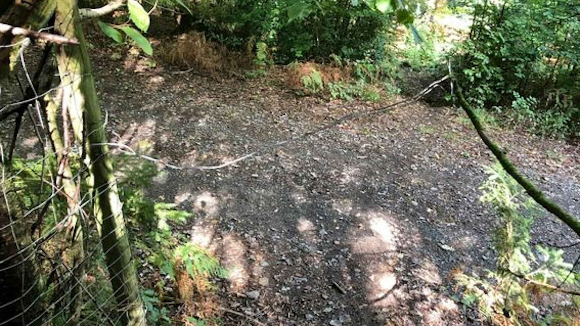 Ein gespanntes Drahtseil über einen Mountainbike-Weg.