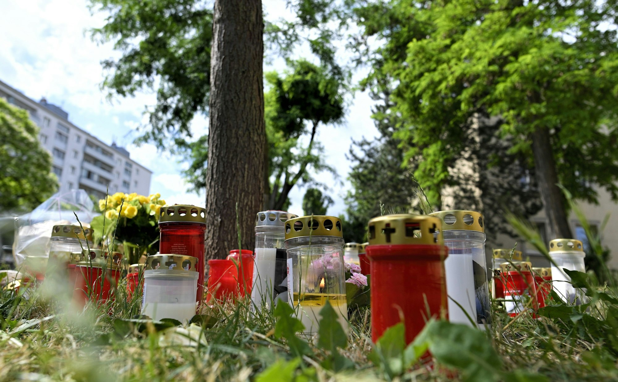 Kerzen und Blumen liegen am Fundort der Leiche eines erst 13 Jahre alten Mädchens. In einem Tötungsprozess um Drogen und Missbrauch stehen ab Dienstag in Wien drei junge Männer vor Gericht.