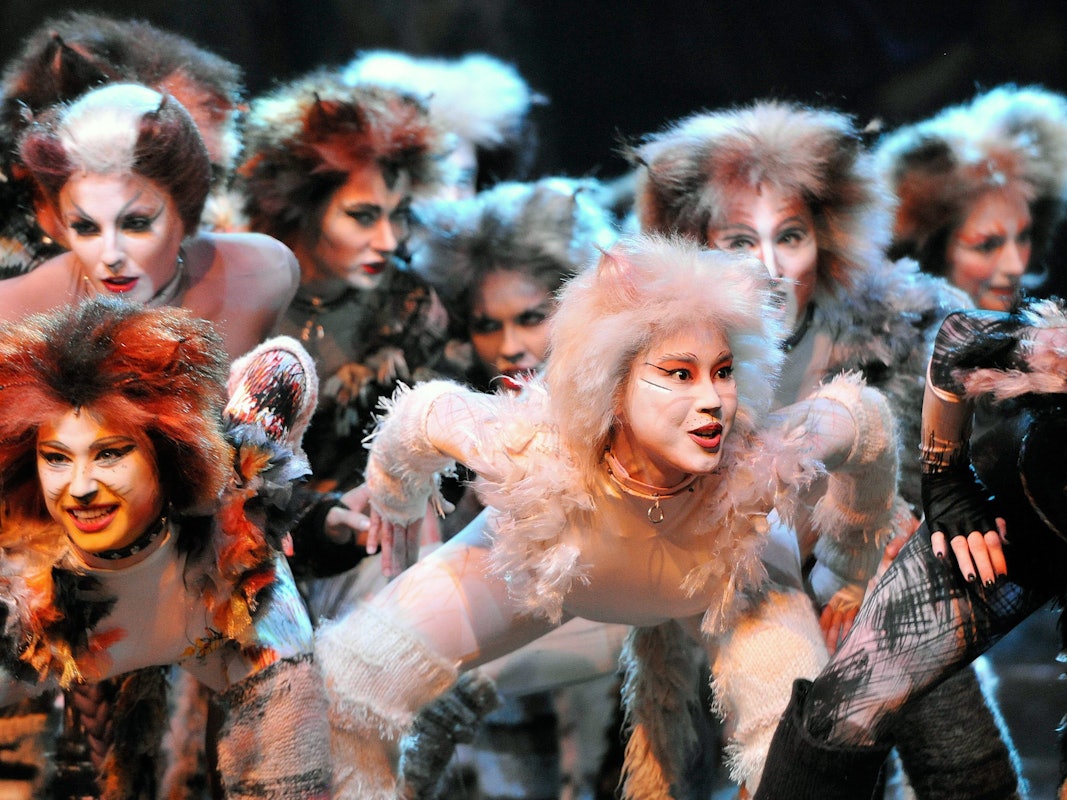 Darsteller und Darstellerinnen in Katzenkostümen stehen in einer Gruppe auf der Bühne.