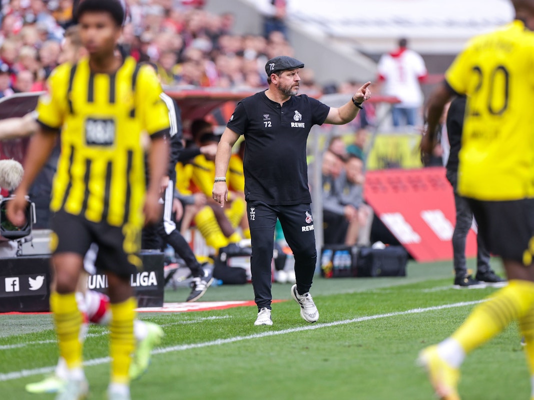 Steffen Baumgart gestikuliert während des Spiels des 1. FC Köln gegen Borussia Dortmund