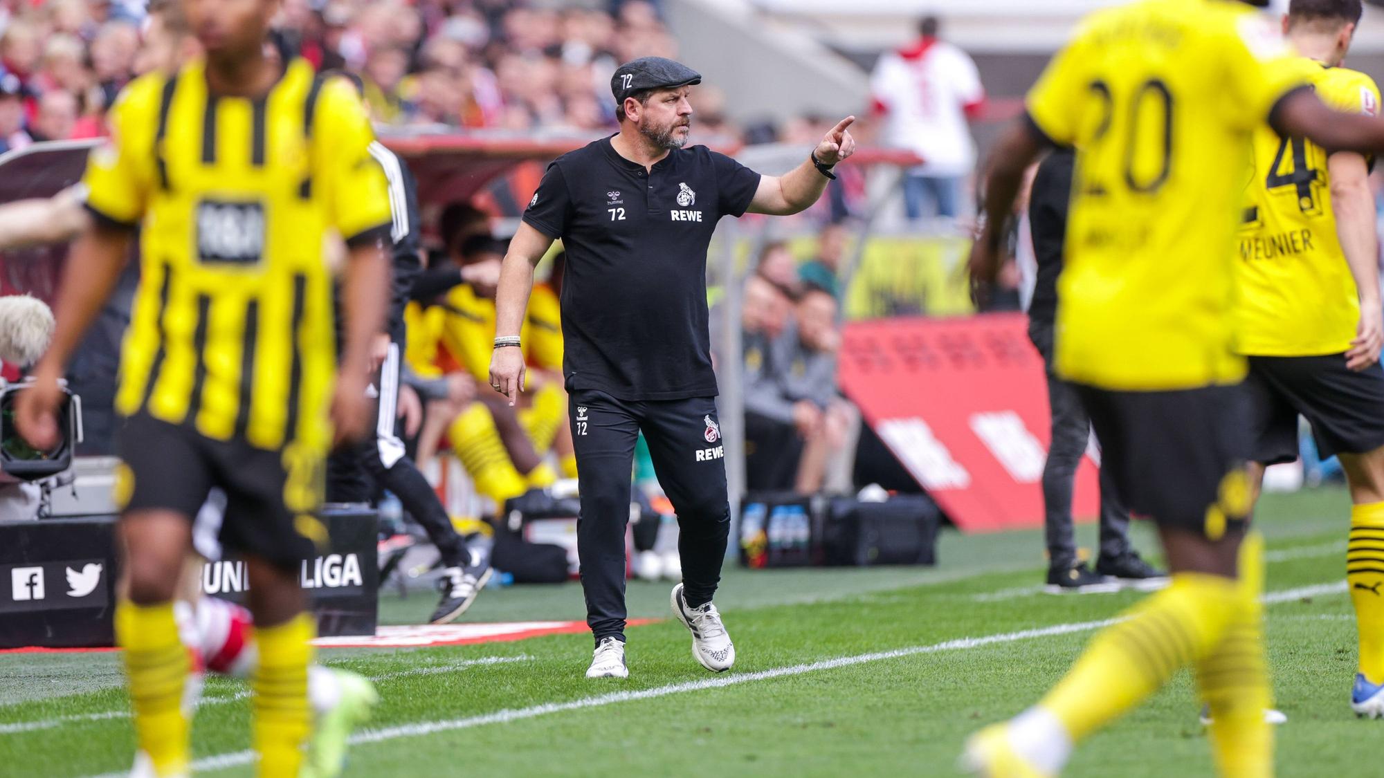 Steffen Baumgart gestikuliert während des Spiels des 1. FC Köln gegen Borussia Dortmund