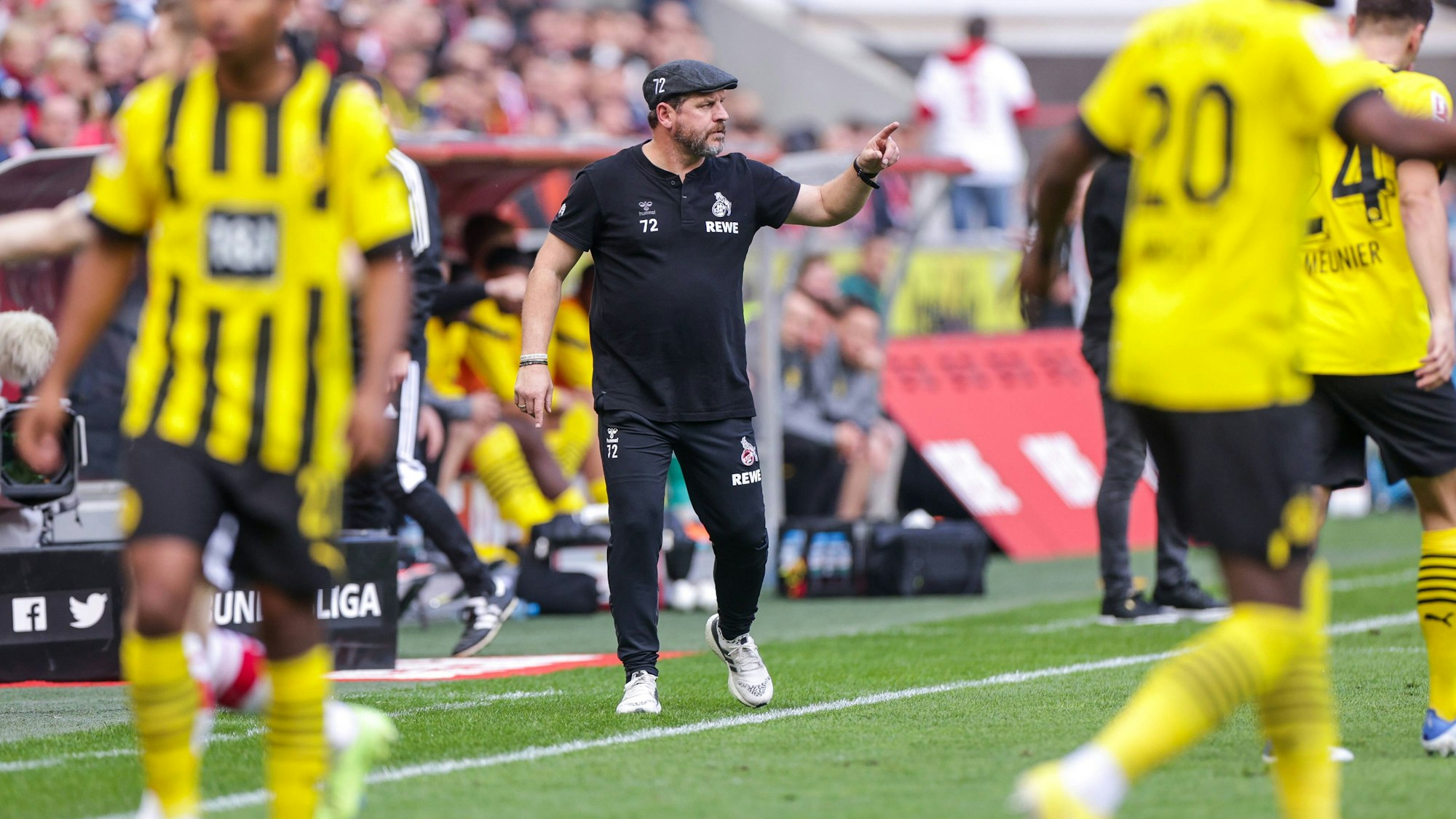 Steffen Baumgart gestikuliert während des Spiels des 1. FC Köln gegen Borussia Dortmund