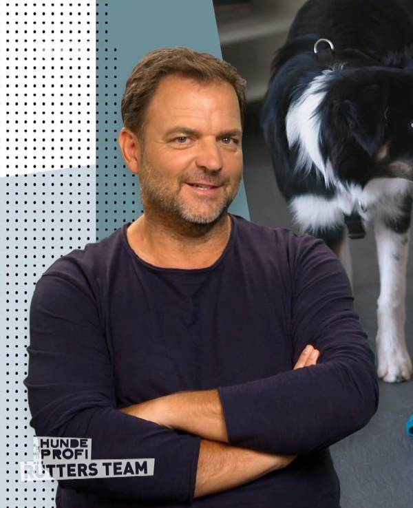 Hundeexperte Martin Rütter kommentiert eine Trainingsmethode für einen Hund.