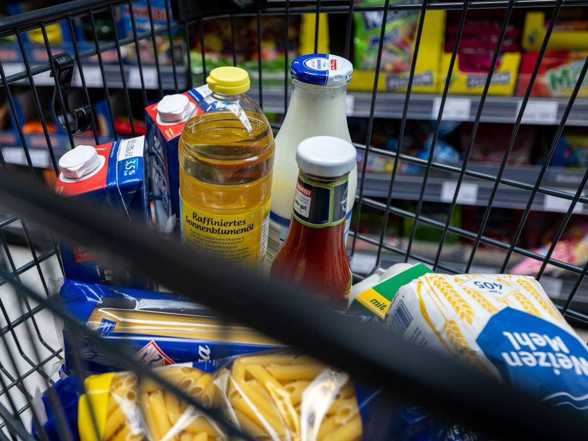 Das Symbolfoto, aufgenommen im Juni 2022 in Leipzig, zeigt verschiedene Lebensmittel in einem Einkaufswagen im Supermarkt.