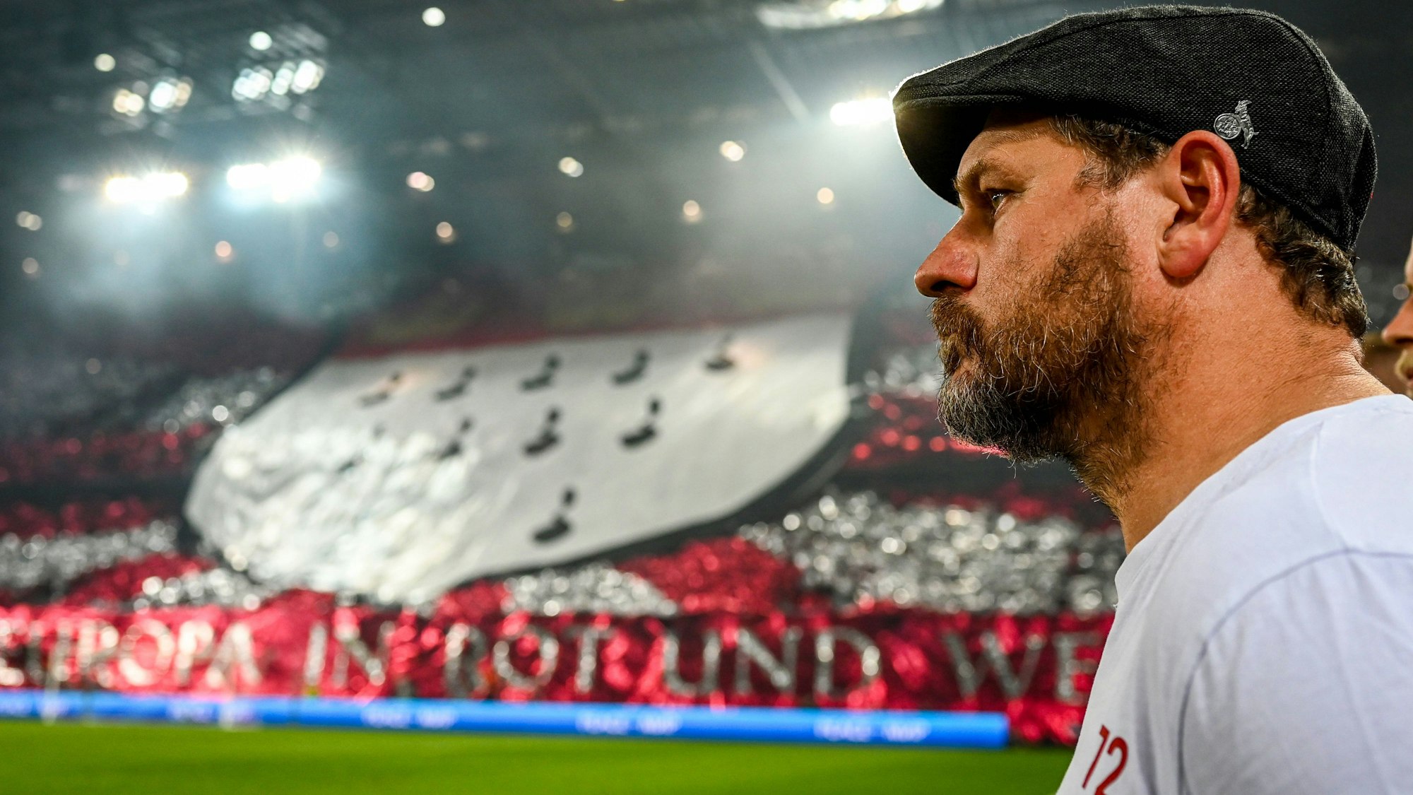 Steffen Baumgart beim Conference-League-Spiel des 1. FC Köln gegen Partizan Belgrad
