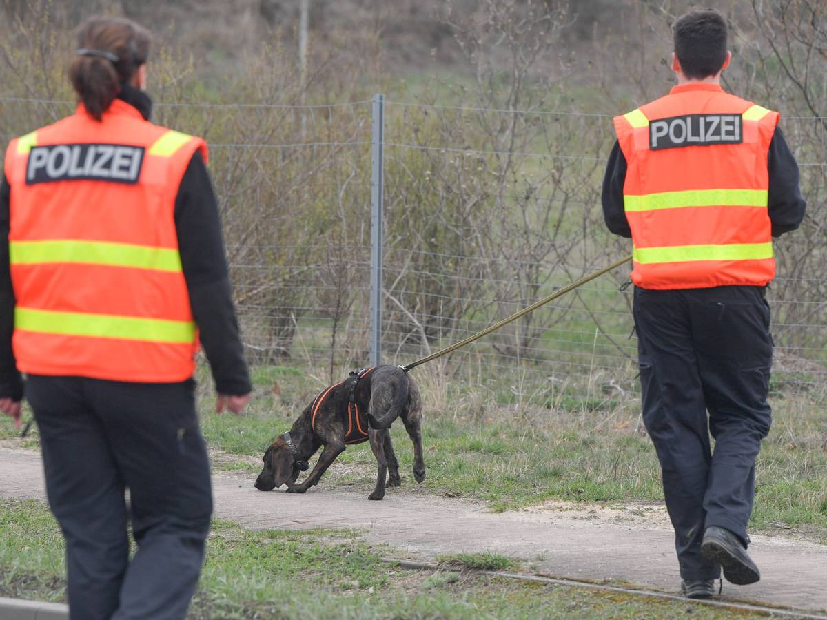 Ein Polizeihund wird zur Suche nach einem vermissten Kind eingesetzt.