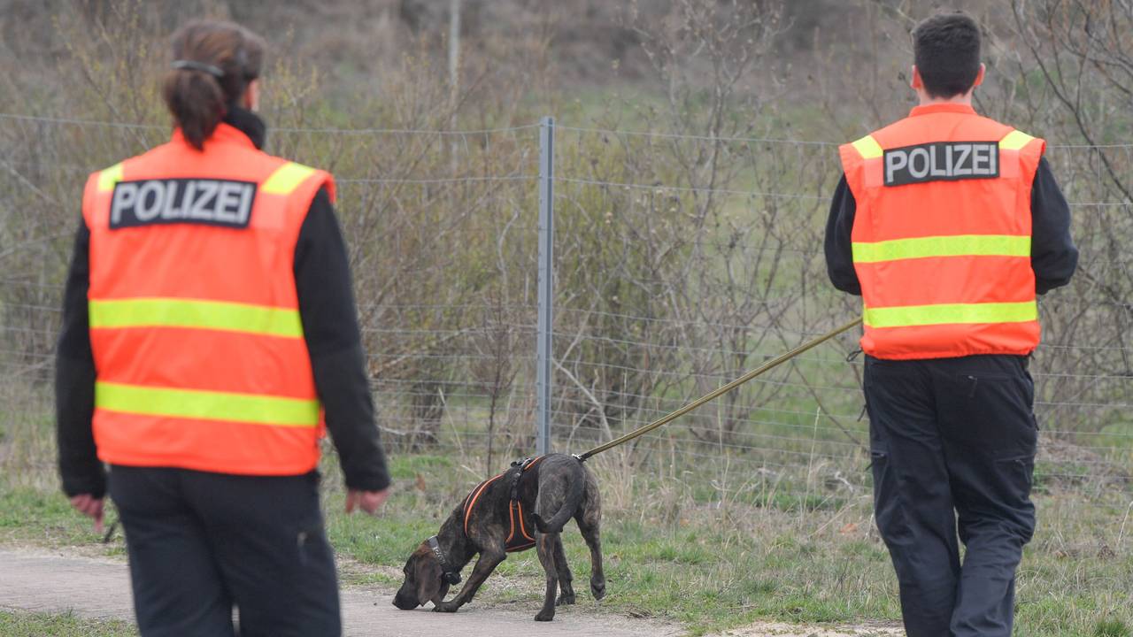 Ein Polizeihund wird zur Suche nach einem vermissten Kind eingesetzt.