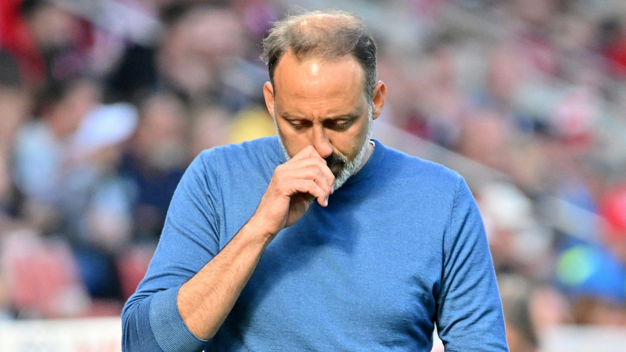 Trainer Pellegrino Matarazzo wurde beim VfB Stuttgart entlassen.