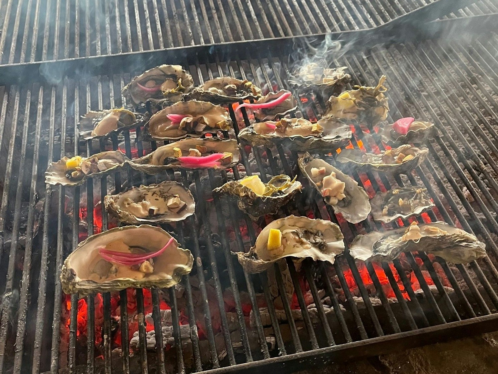 Austern auf dem Grill in Dänemark.