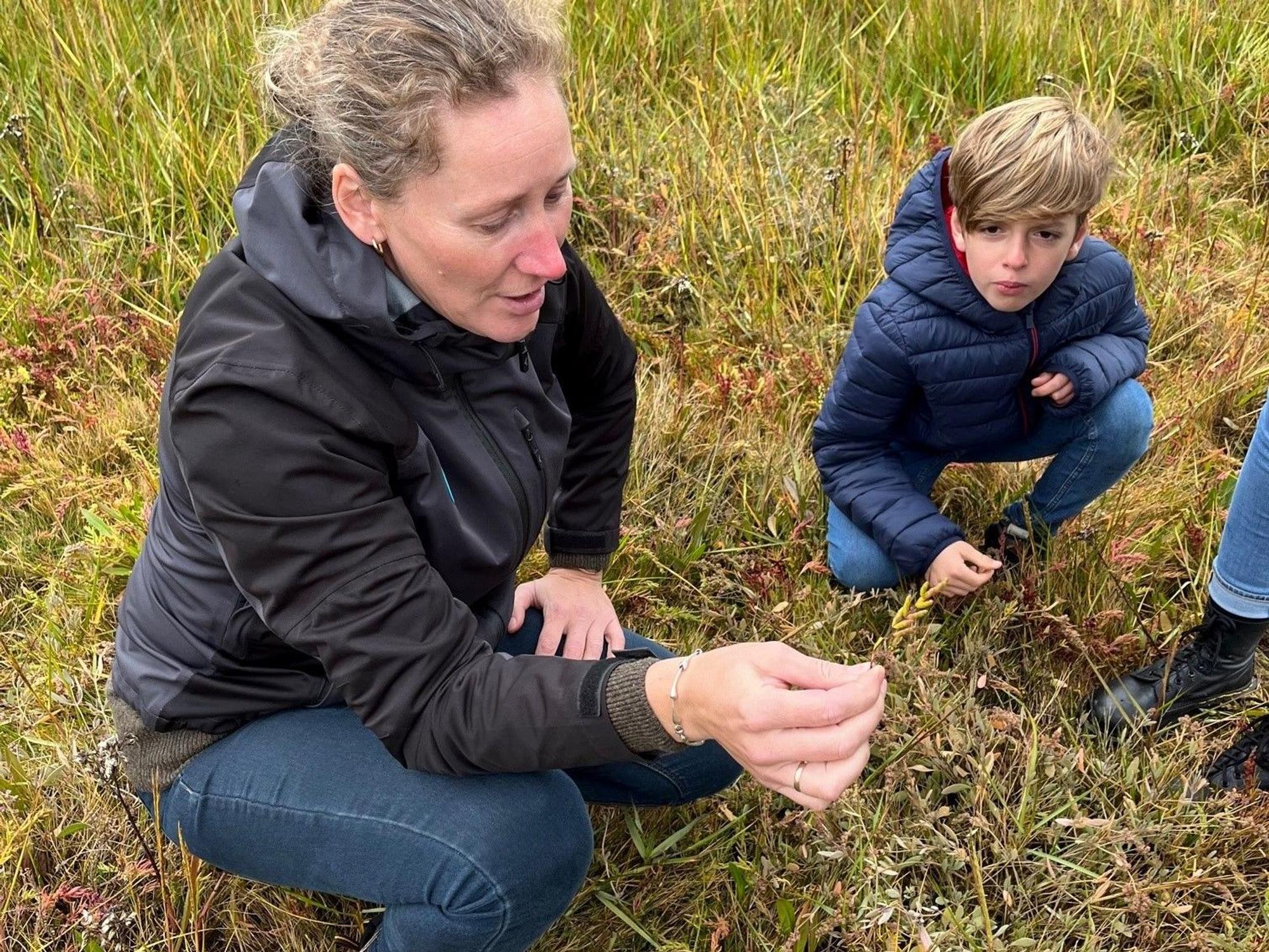 Austernsafari mit Bente vom Naturcenter Tonnisgaard.