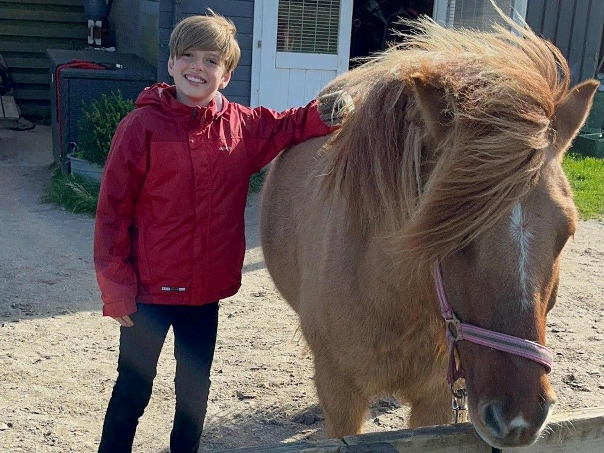 Mats und sein Isländerpferd vor dem Ausritt.