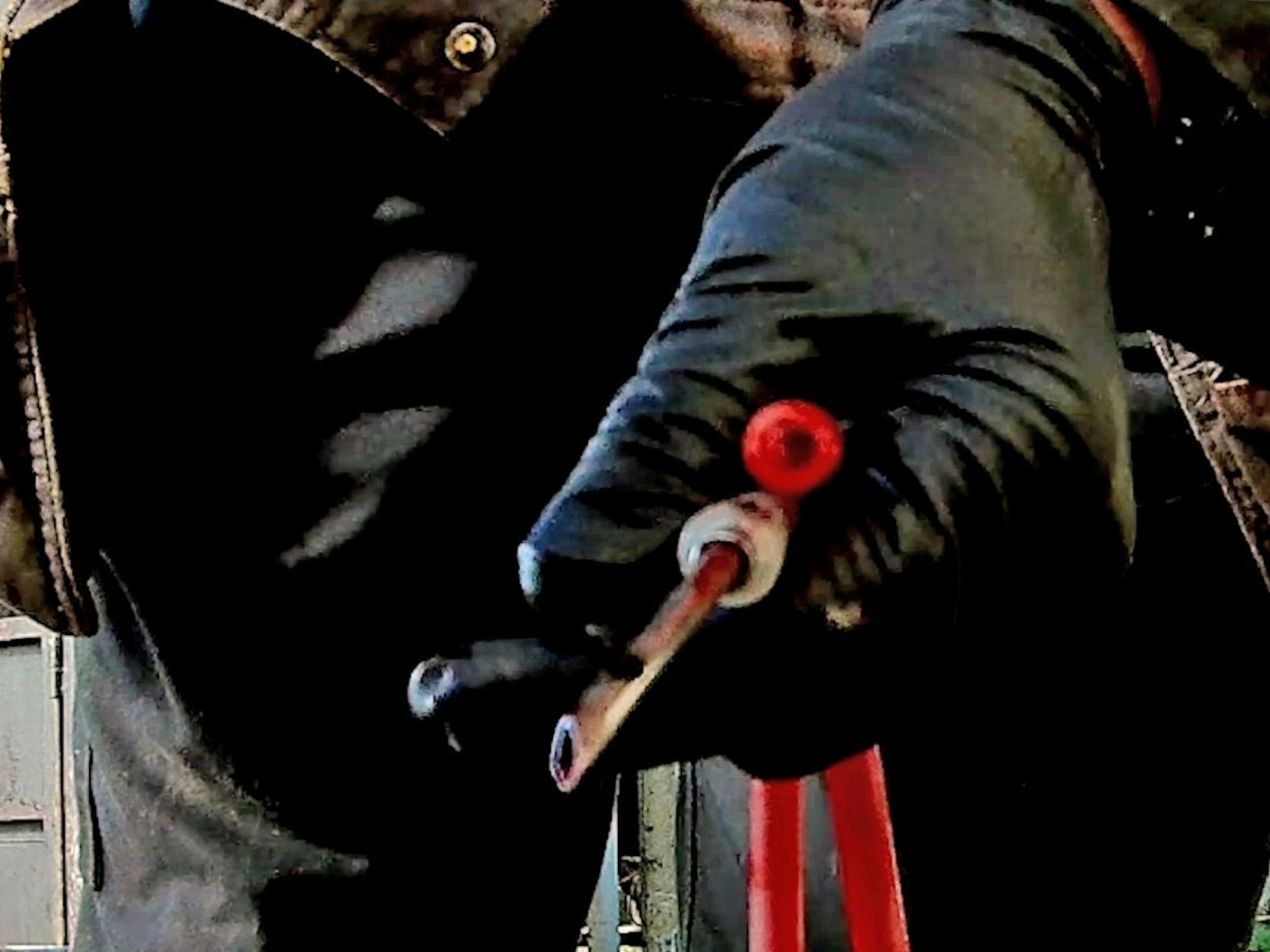 Kanülen, mit den Blutstuten aus dem Hals Blut abgezapft wird. Die Bilder wurden von der Animal Welfare Foundation bereitgestellt