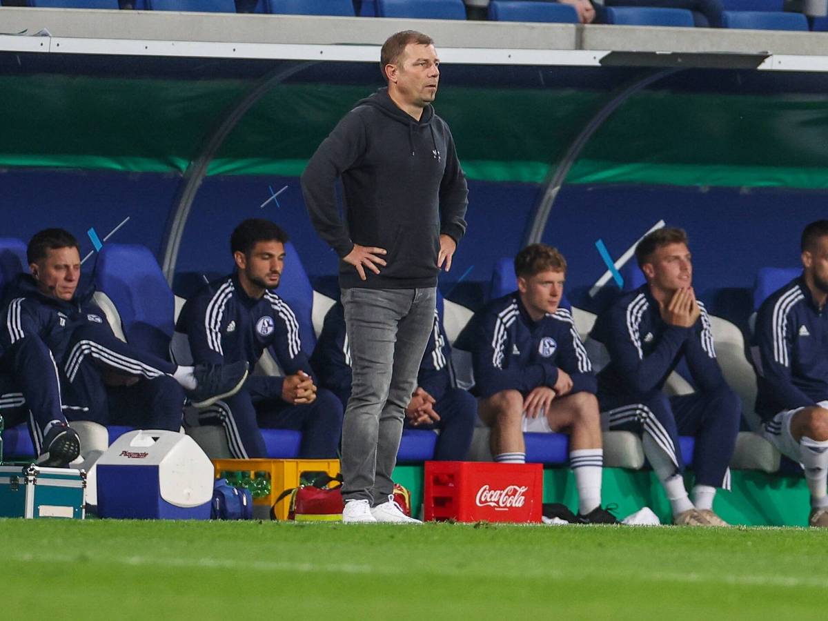 Frank Kramer steht beim Pokal-Aus bei der TSG Hoffenheim ratlos vor der Schalker Bank.