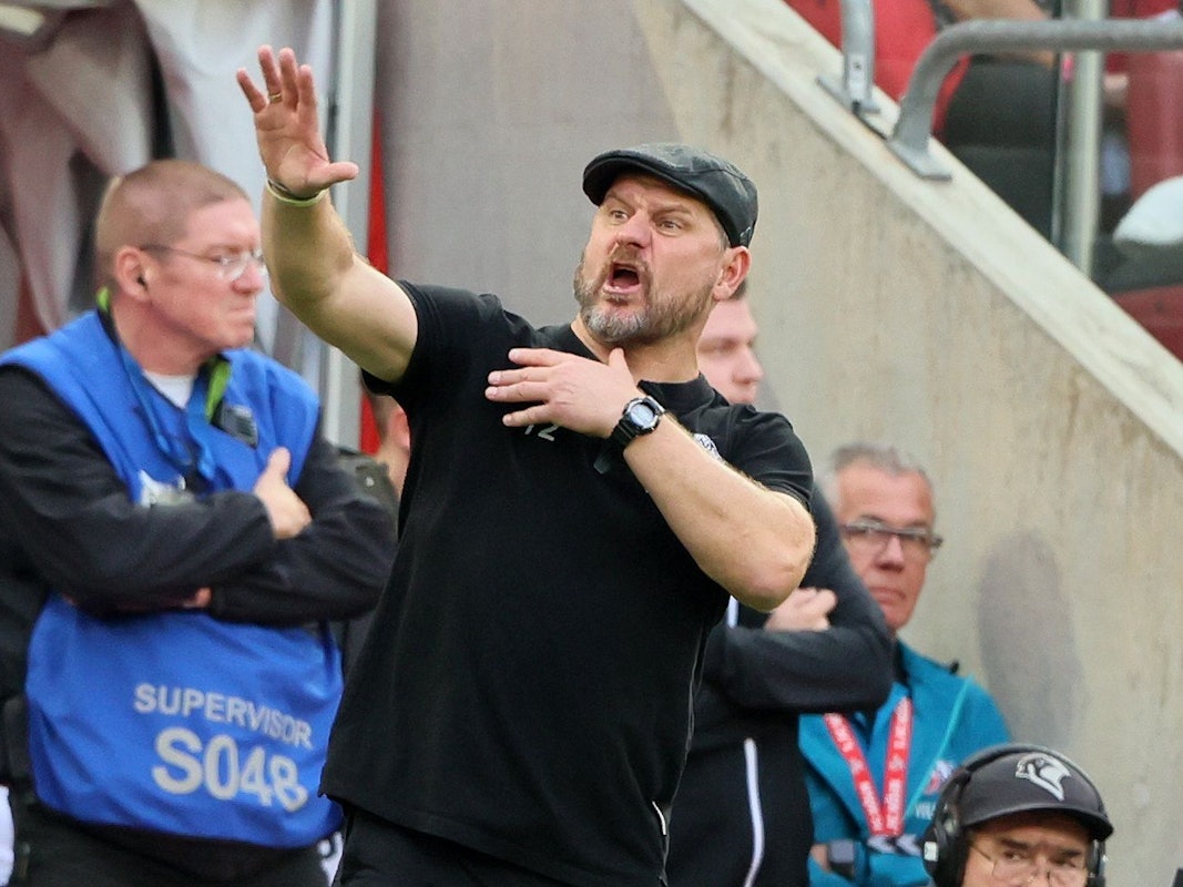 Steffen Baumgart beim Spiel des 1. FC Köln gegen den FC Augsburg.