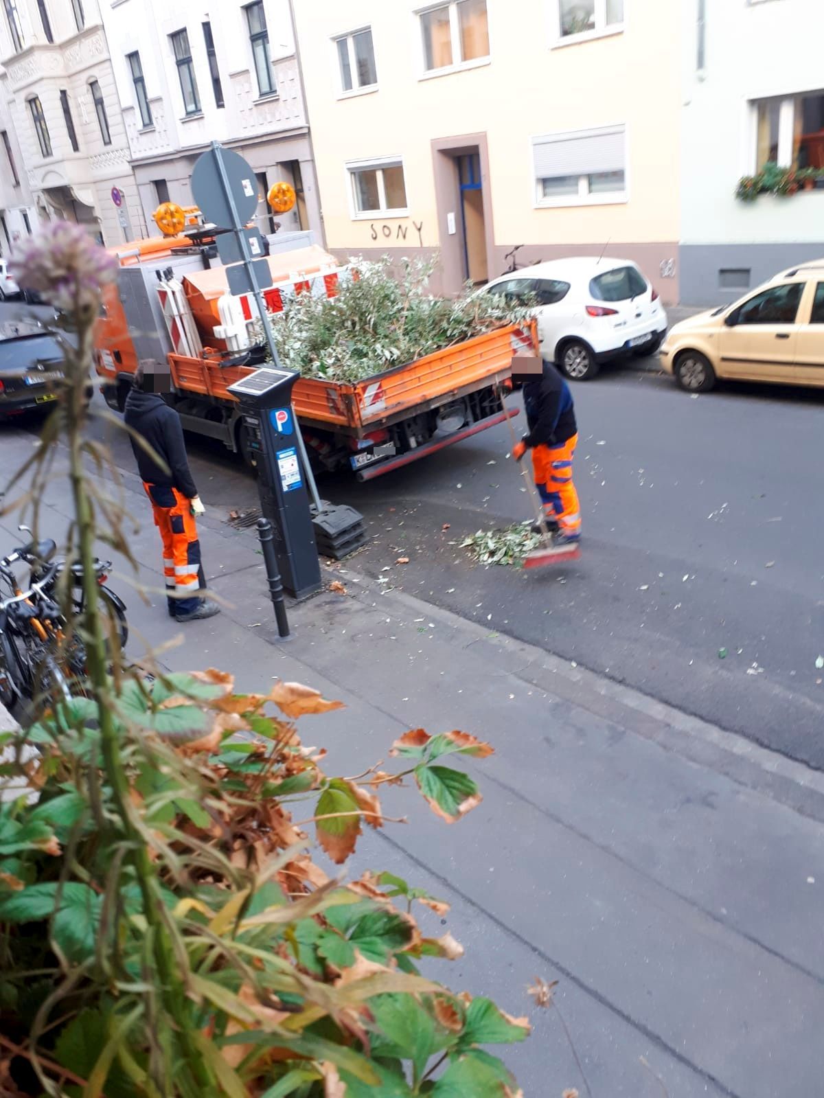 Mitarbeiter der Stadt entfernen einen Baum an einem Parkscheinautomaten.