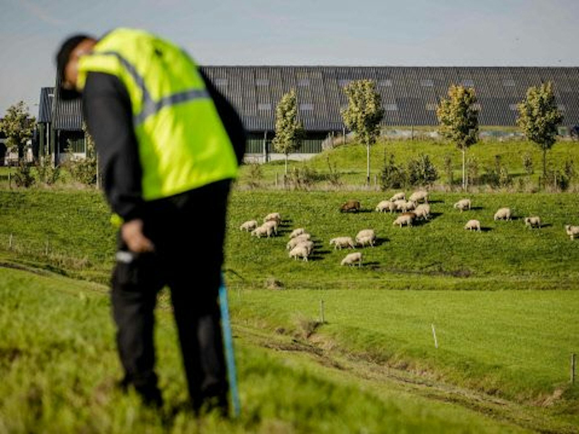 Die Polizei und viele Freiwillige suchten in den Niederlanden nach der kleinen Hebe (10) und ihrer Pflegerin Sanne.
