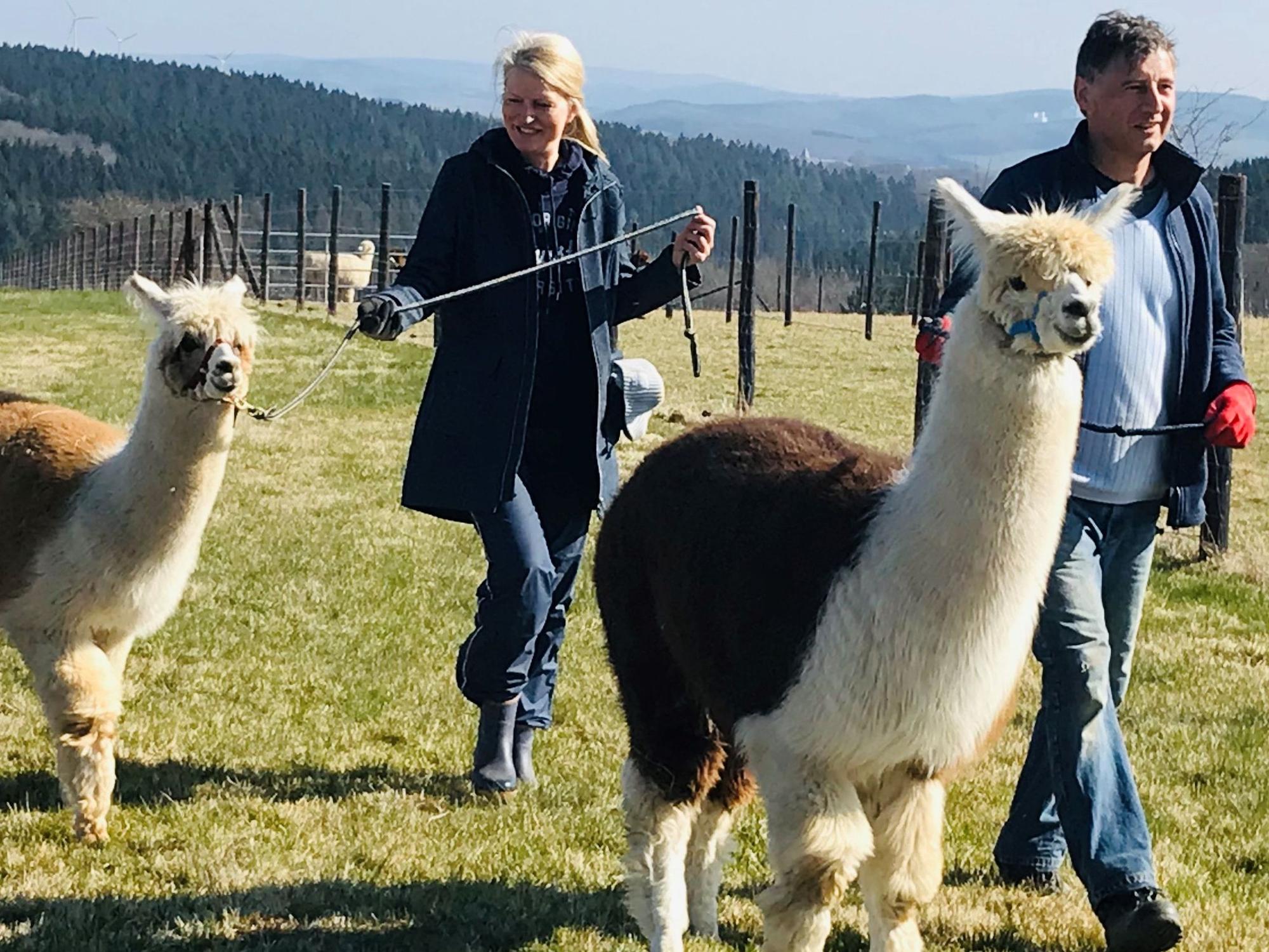 Irene und Gerd Balter auf einer Alpakawanderung in der Hocheifel.