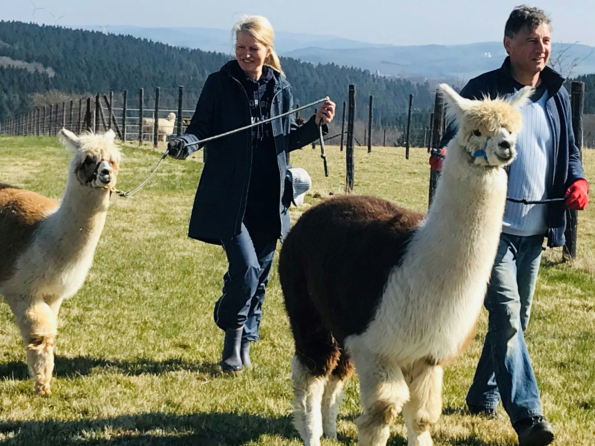 Irene und Gerd Balter auf einer Alpakawanderung in der Hocheifel.