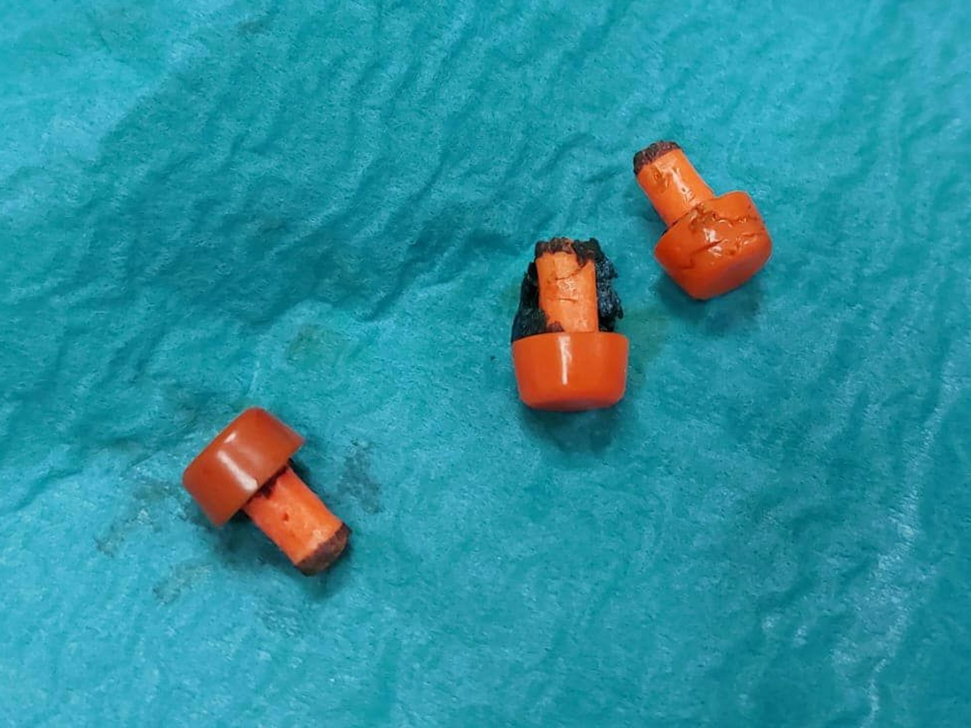 Im Tierheim Troisdorf musste Kater Jack operiert werden, weil sich Fremdkörper in seinem Magen befunden hatten.