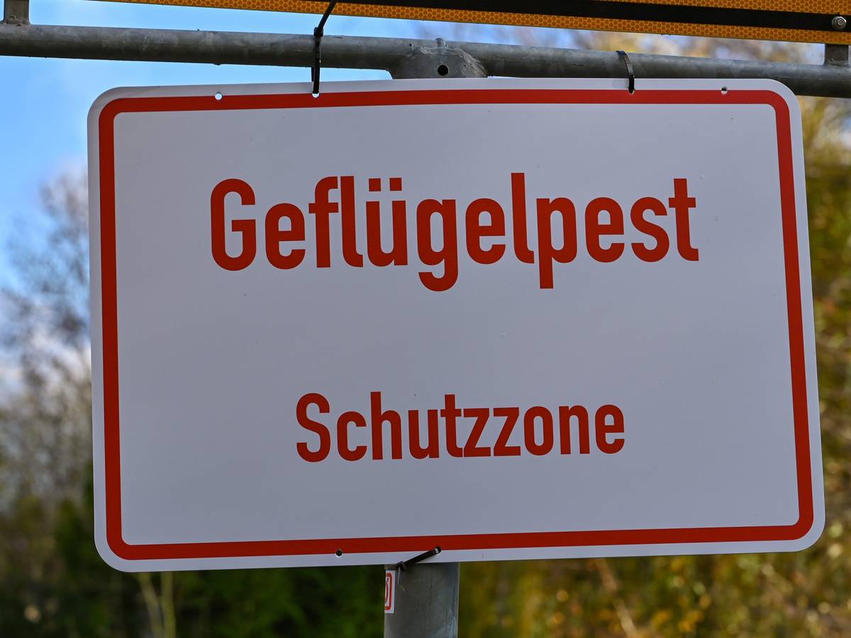 Ein Schild mit der Aufschrift „Geflügelpest Schutzzone“.