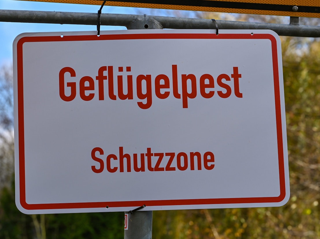 Ein Schild mit der Aufschrift „Geflügelpest Schutzzone“.