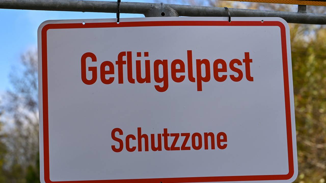 Ein Schild mit der Aufschrift „Geflügelpest Schutzzone“.