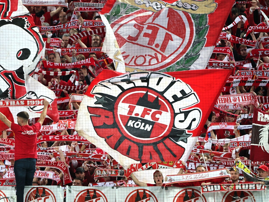 Die Fans des 1. FC Köln gegen den 1. FC Slovacko.
