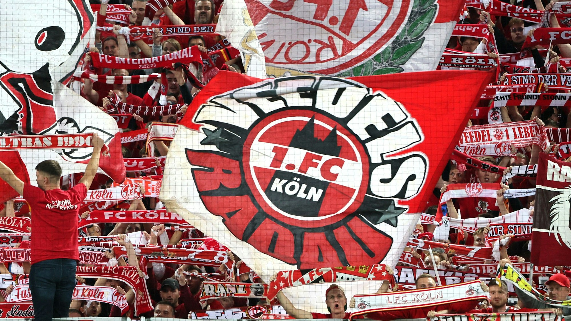 Die Fans des 1. FC Köln gegen den 1. FC Slovacko.