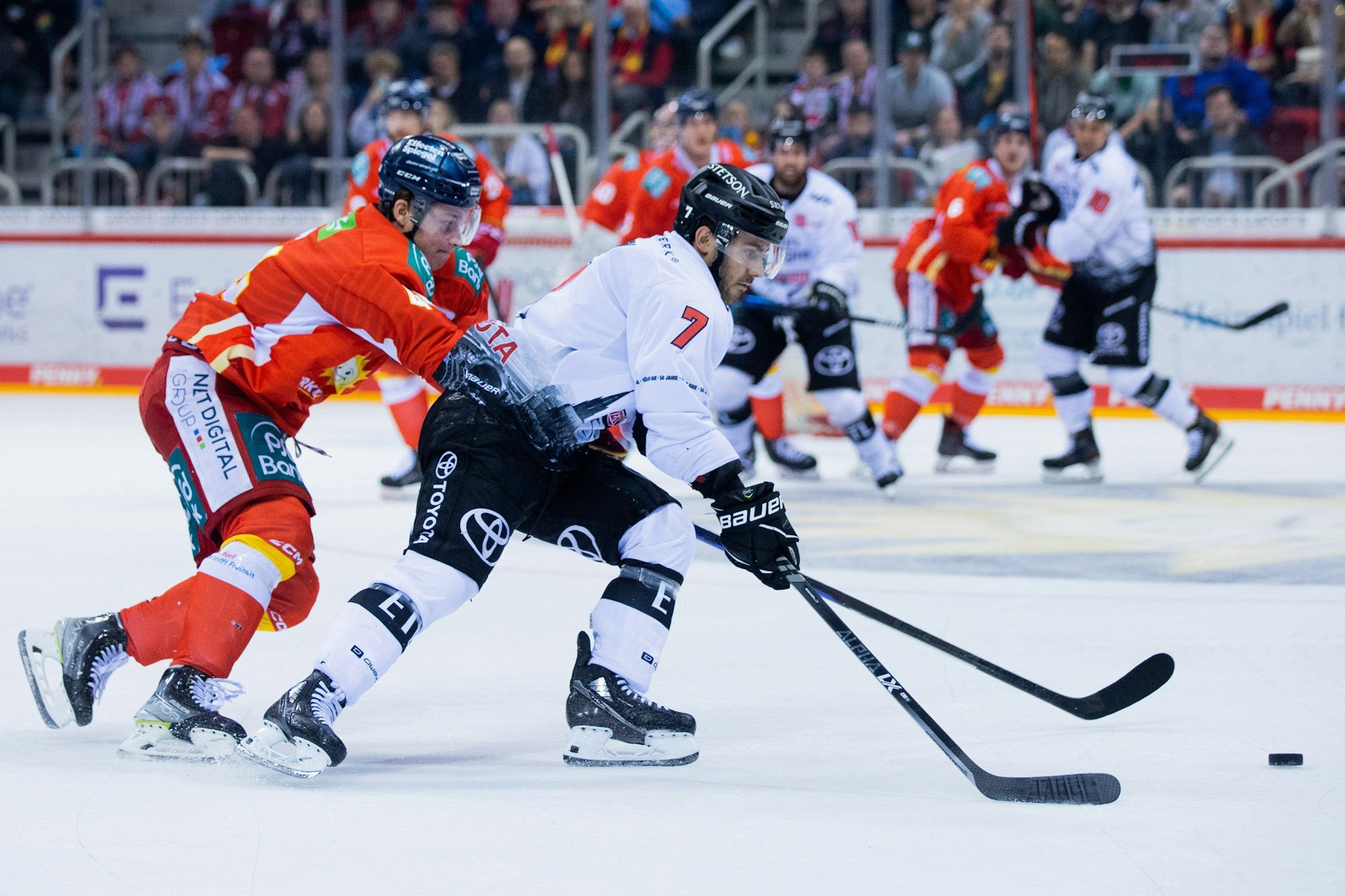 Düsseldorfs Josef Eham (l) und Kölns Nicholas Bailen versuchen an den Puck zu kommen.