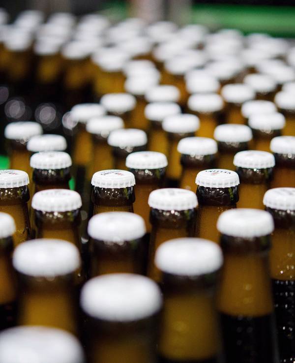 Bierflaschen mit Kronkorken laufen durch die Produktion der Veltins-Brauerei in Meschede-Grevenstein über die Förderbänder einer Befüllungsanlage.