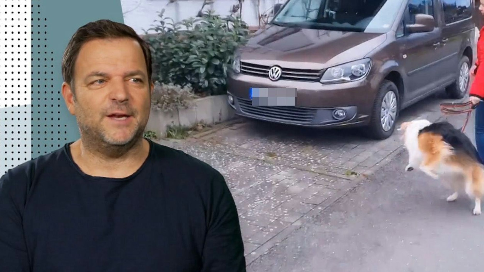 Hundetrainer Martin Rütter bewertet das Verhalten von Hündin Chinook.