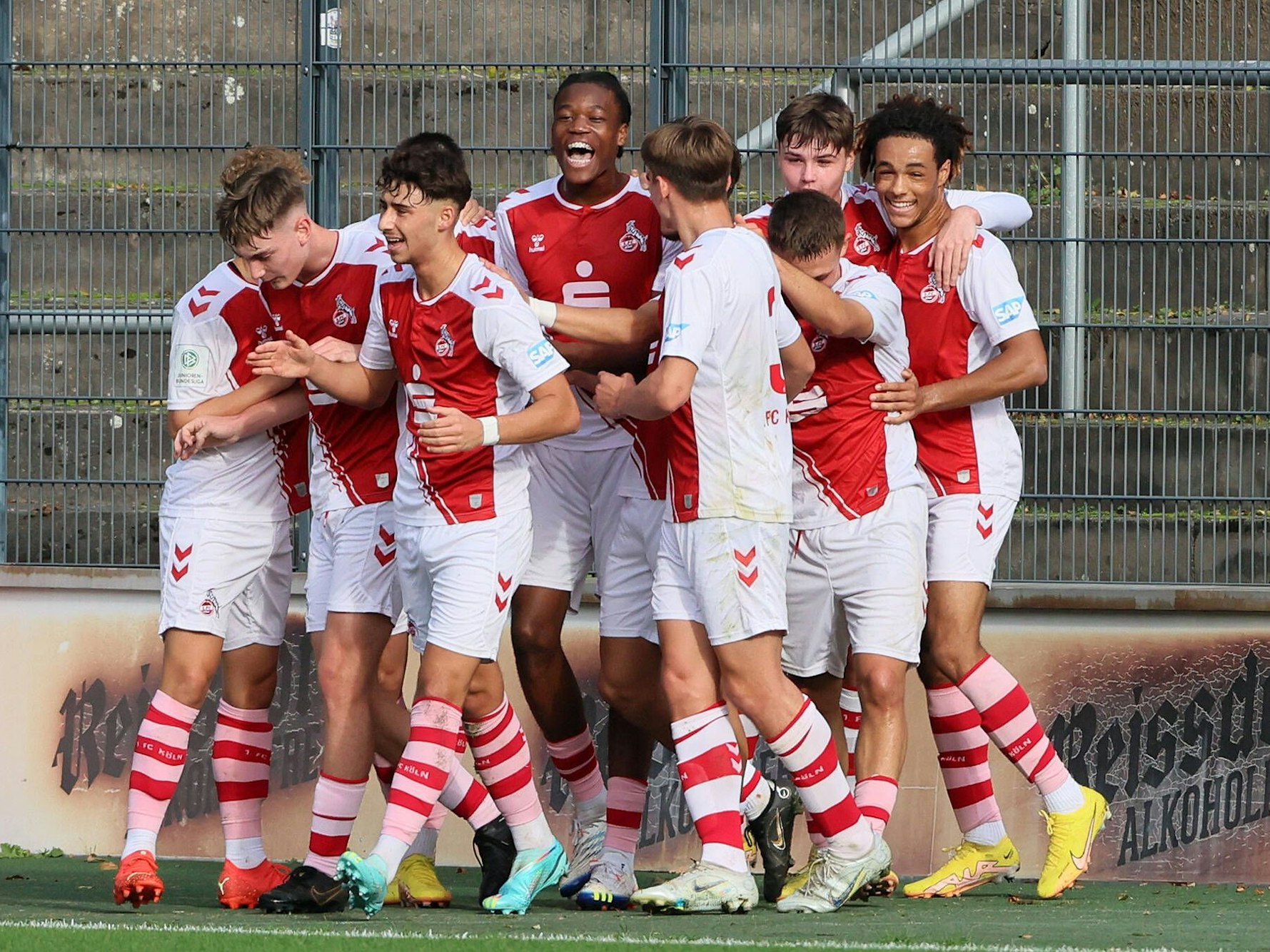 Die Spieler der U19 des 1. FC Köln jubeln gemeinsam.