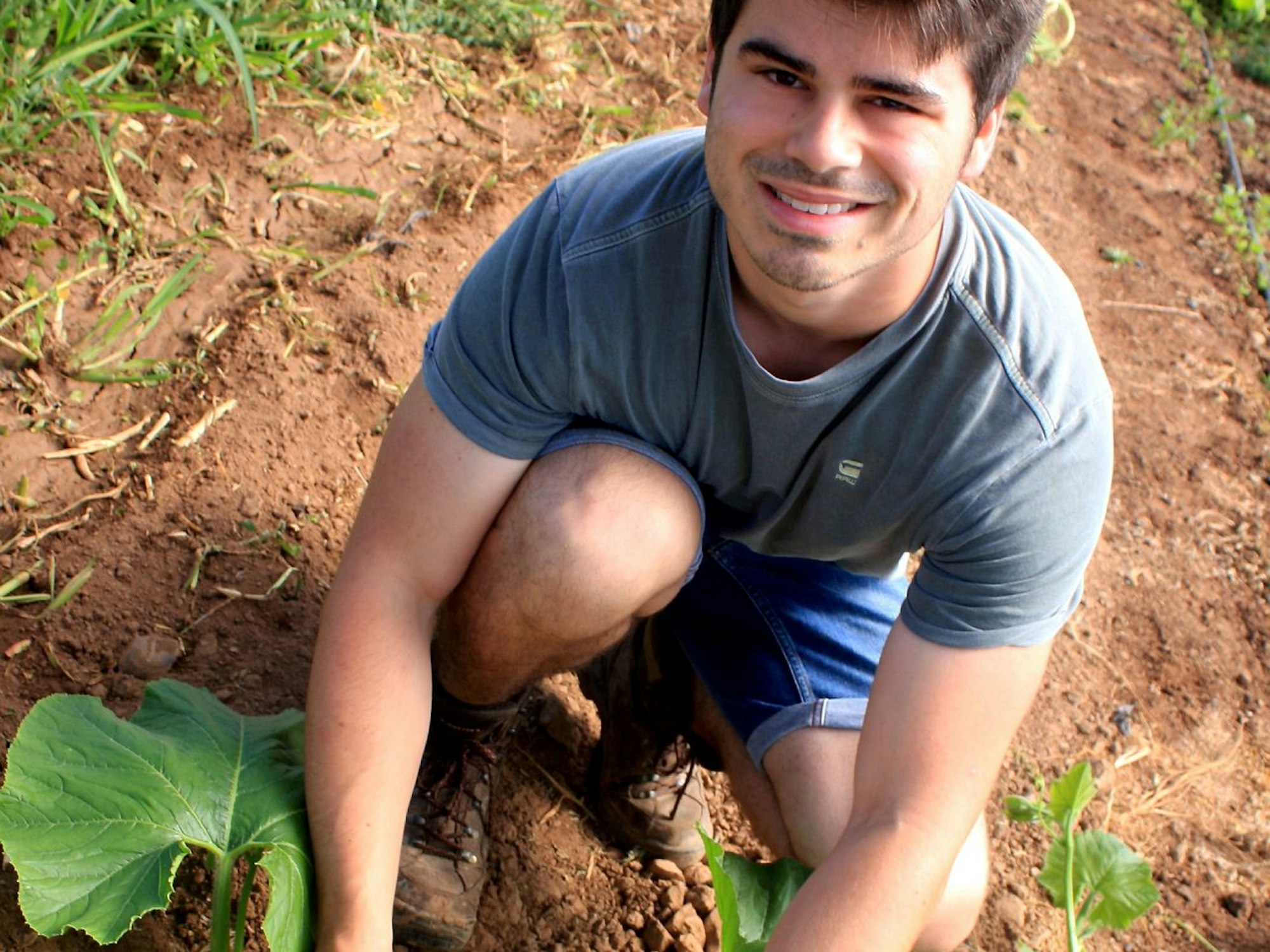 Max Bieger vom Krewelshof Eifel in Mechernich-Obergartzem hockt in seinem Kürbisbeet.