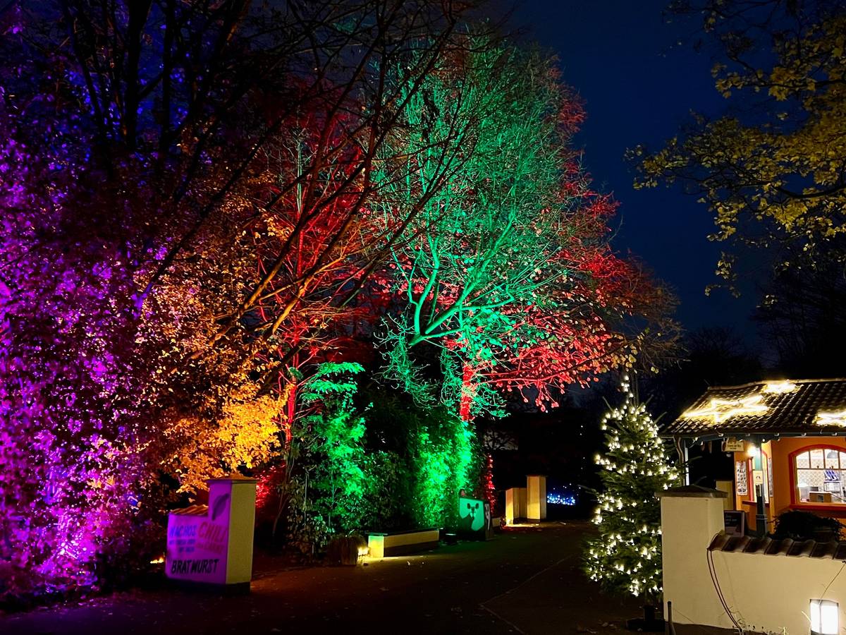 Das Foto zeigt den Weihnachtsmarkt „Christinas Garden“ 2021 im Kölner Zoo.