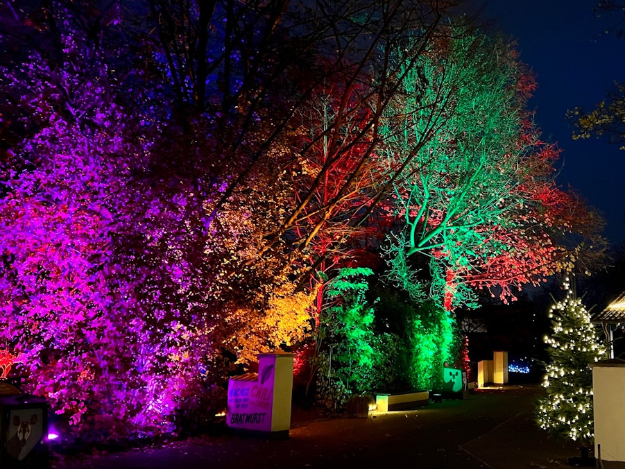 Das Foto zeigt den Weihnachtsmarkt „Christinas Garden“ 2021 im Kölner Zoo.