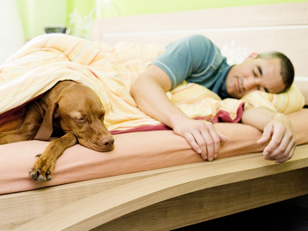 Ein Mann und sein Hund liegen gemeinsam im Bett