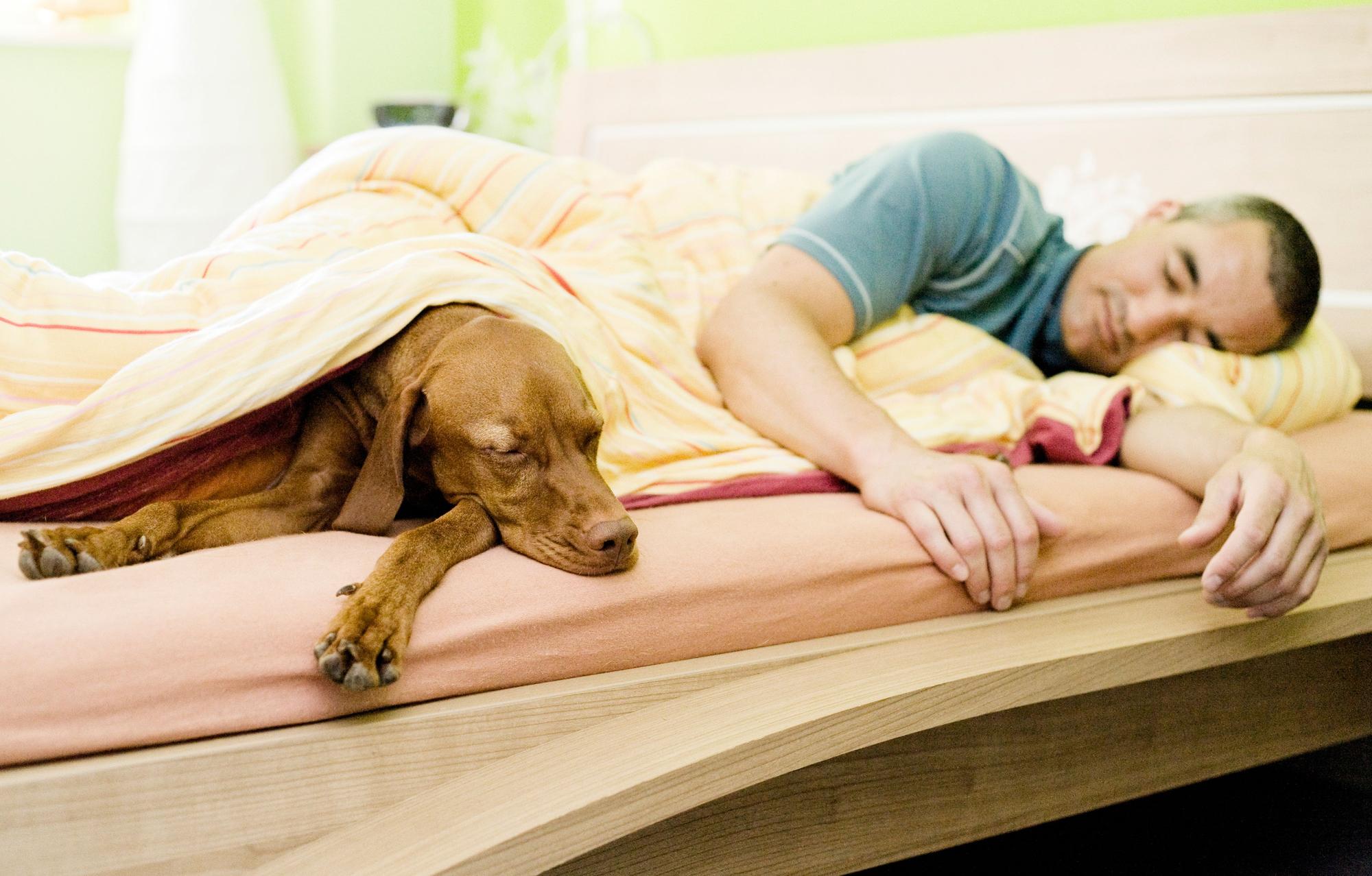 Ein Mann und sein Hund liegen gemeinsam im Bett