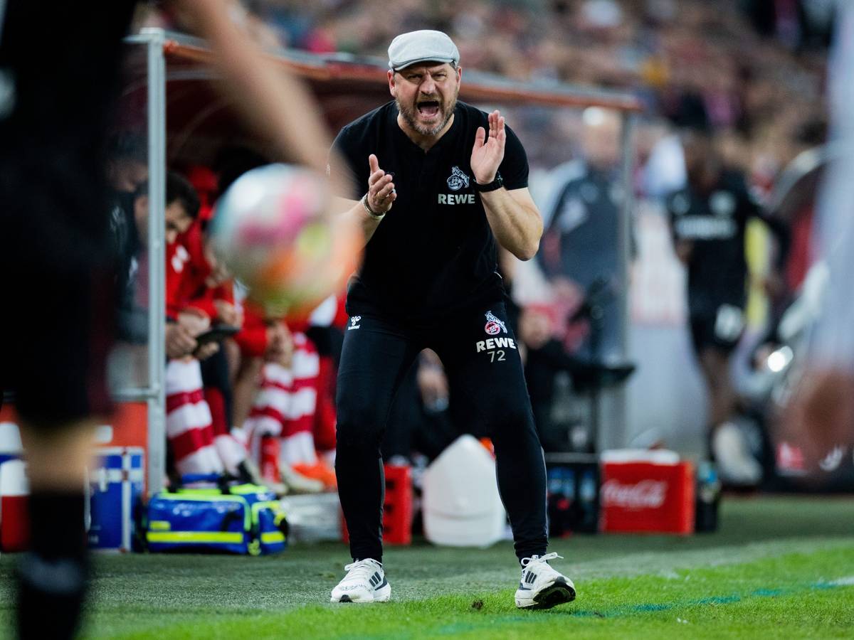 Kölns Trainer Steffen Baumgart brüllt gegen Bayer Leverkusen.