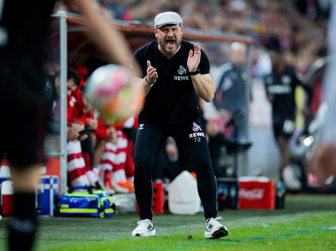 Kölns Trainer Steffen Baumgart brüllt gegen Bayer Leverkusen.