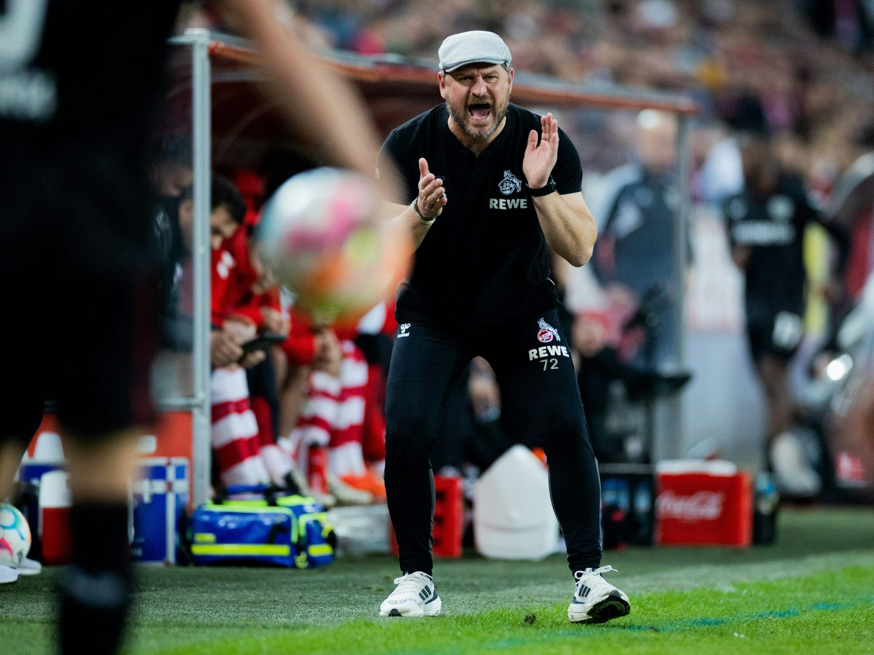 Kölns Trainer Steffen Baumgart brüllt gegen Bayer Leverkusen.