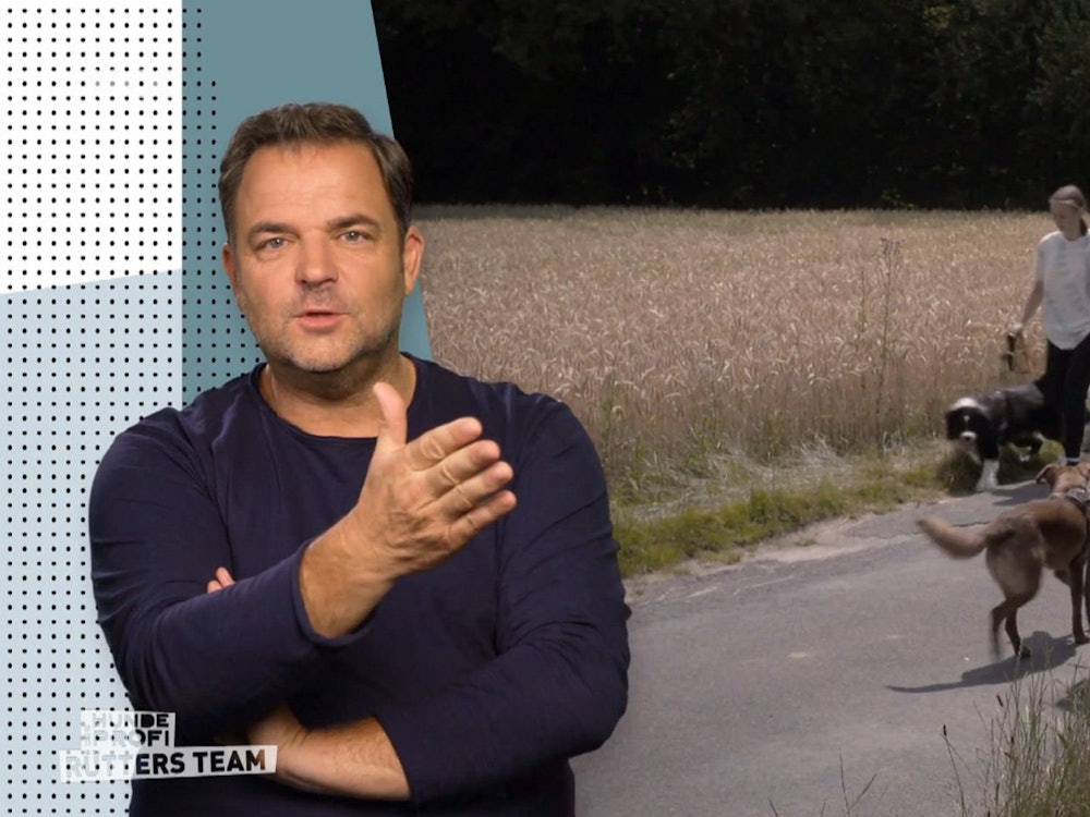 Martin Rütter bekommt es in einer neuen Folge seiner VOX-Show „Der Hundeprofi - Rütters Team“ (TV-Ausstrahlung: 12. November 2022) mit Mischlings-Rüde Leon zu tun. Das Foto zeigt den Hunde-Experten im Inbox-Interview, während Leon über einen Feldweg spaziert.