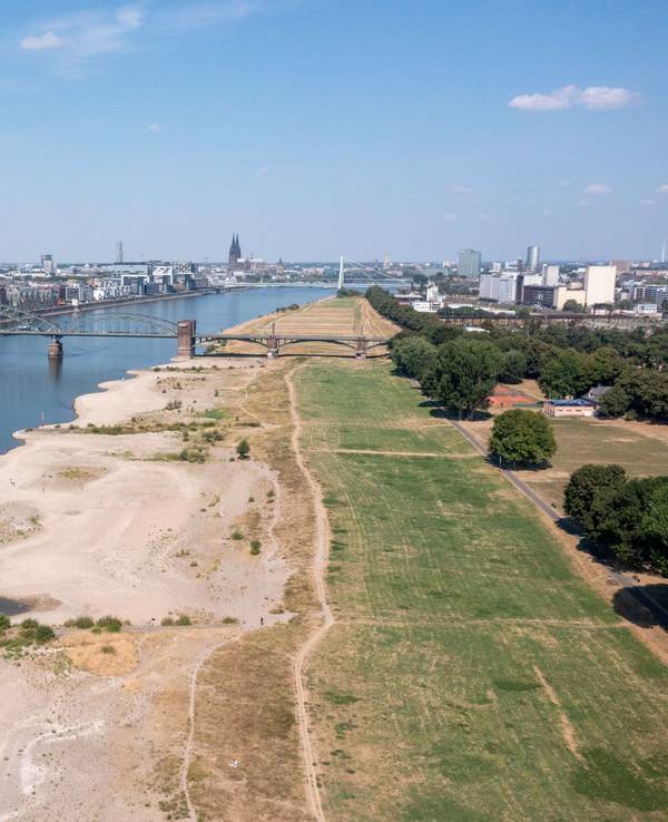 Der Rhein bei den Poller Wiesen mit Niedrigwasser