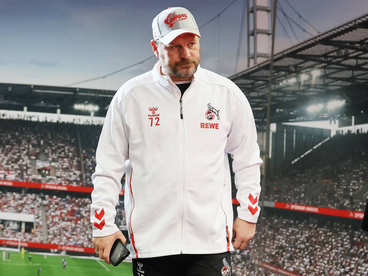 Steffen Baumgart steht im Rhein-Energie-Stadion.