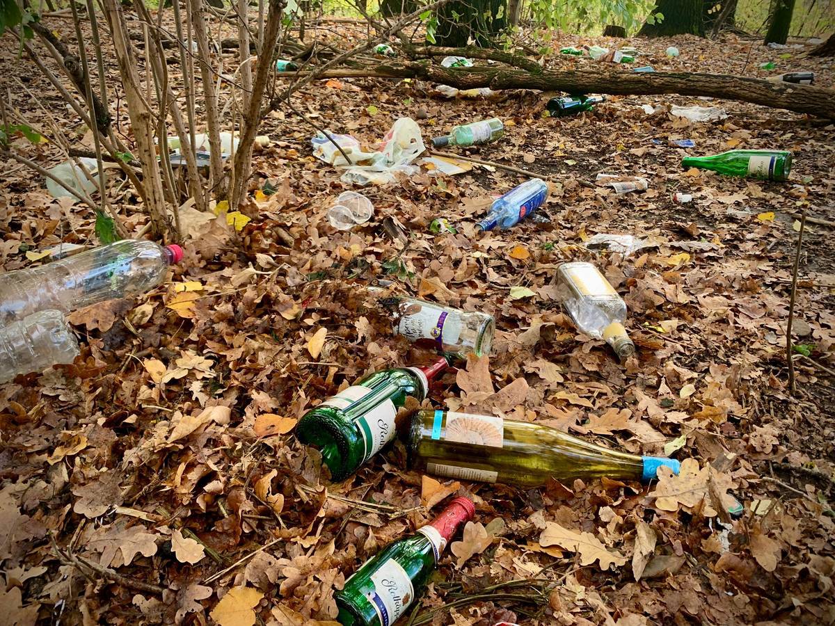 Glasflaschen liegen auf dem Waldboden am Aachener Weiher.