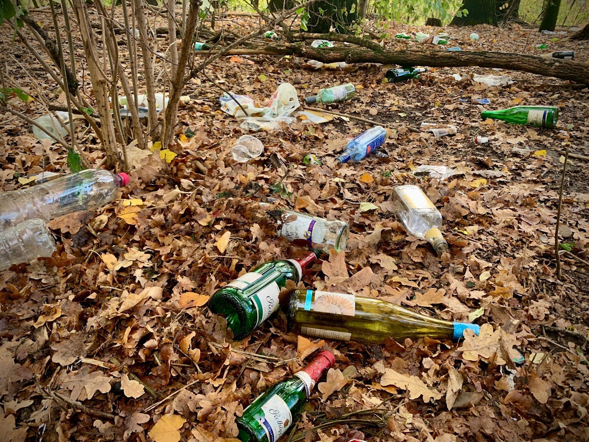 Glasflaschen liegen auf dem Waldboden am Aachener Weiher.
