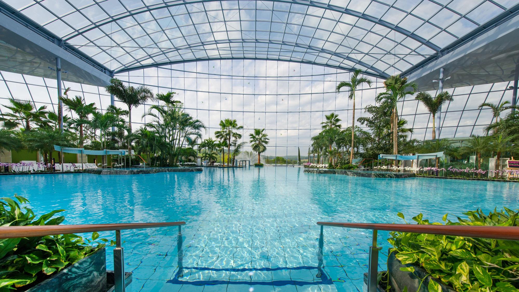 Das großzügige Palmenparadies in der Badewelt Sinsheim. Da kommt Südsee-Feeling auf!