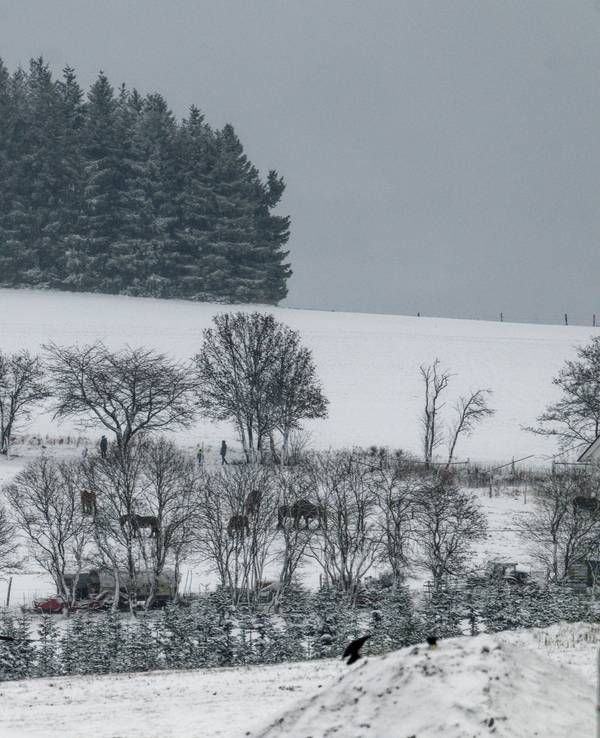 Einige Zentimeter Schnee bedecken im Hochsauerlandkreis die Landschaft.
