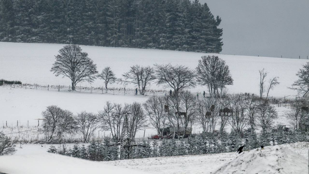 Einige Zentimeter Schnee bedecken im Hochsauerlandkreis die Landschaft.