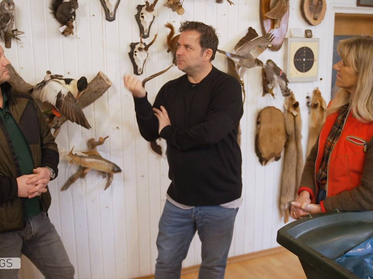 Hundeprofi Martin Rütter versteht den Sinn von Jagdtrophäen nicht.