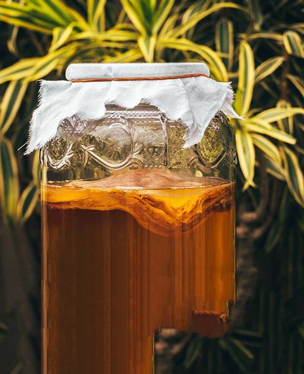 Kombucha - selbst gemacht auf einem undatierten Symbolfoto.